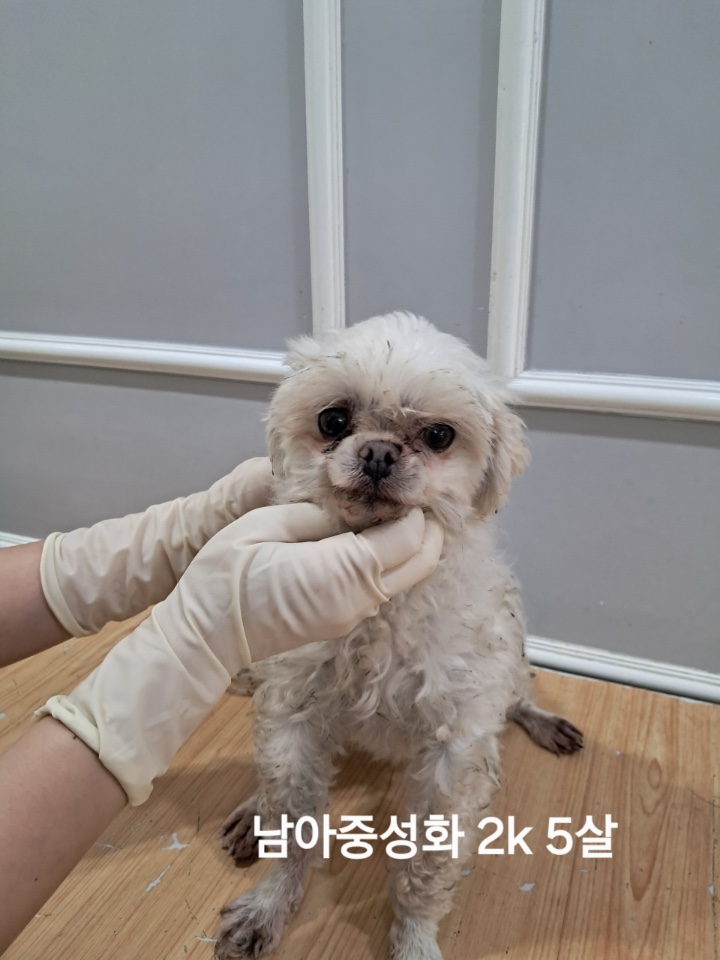 옥천동물병원_443443202500726