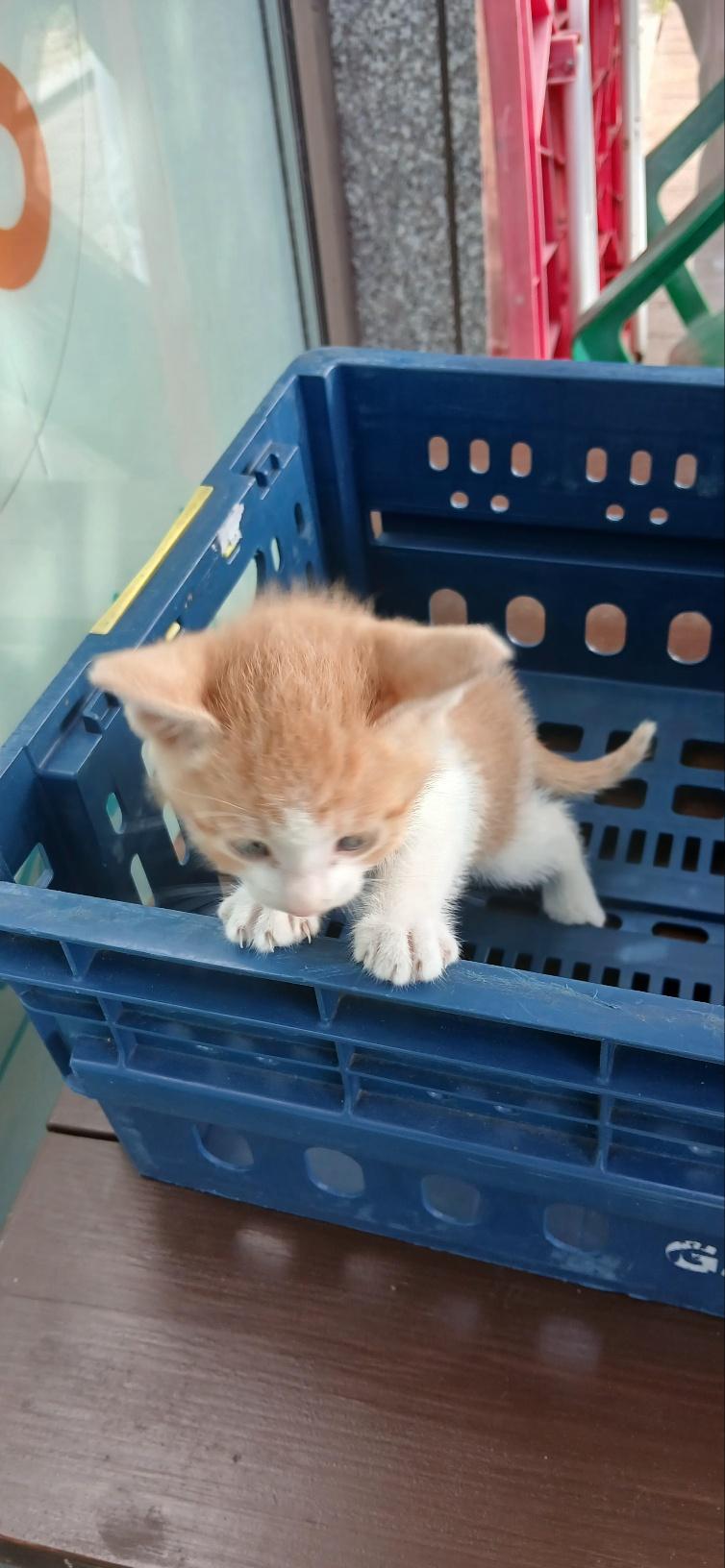 (사)동물보호관리협회_448535202501573