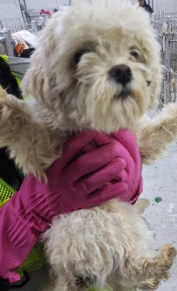 인천광역시수의사회_428353202500959