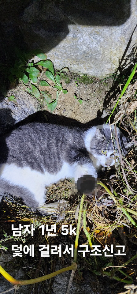 옥천동물병원_443443202500727