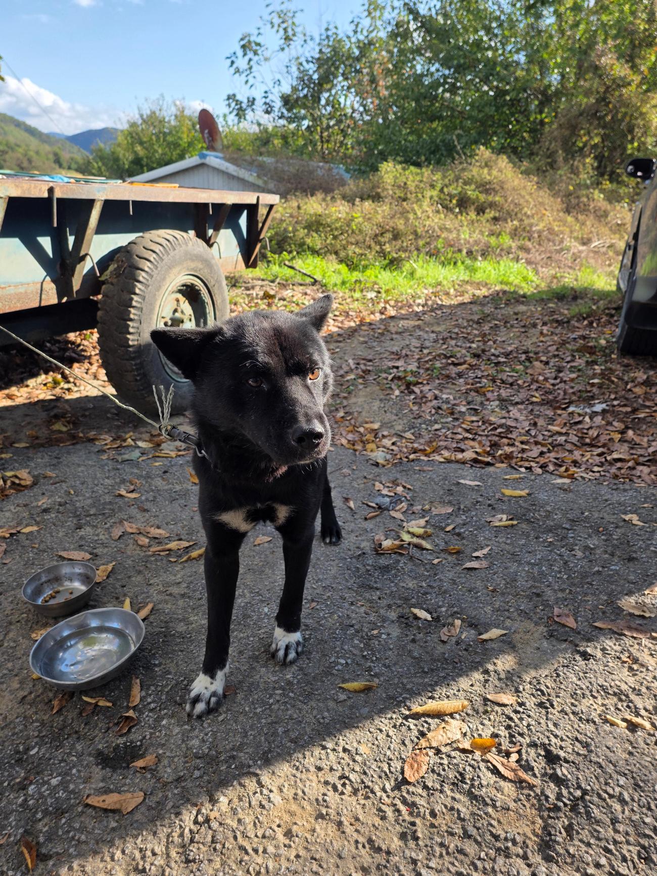 괴산증평동물보호센터_443446202500462