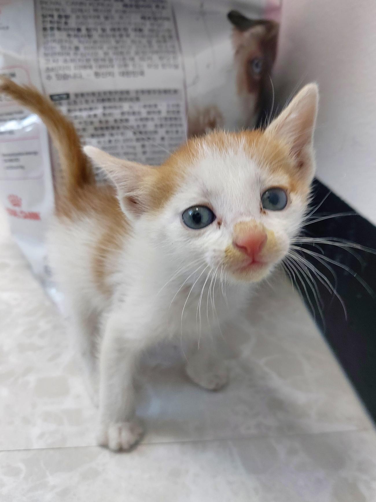 남해군동물보호센터_448543202500183