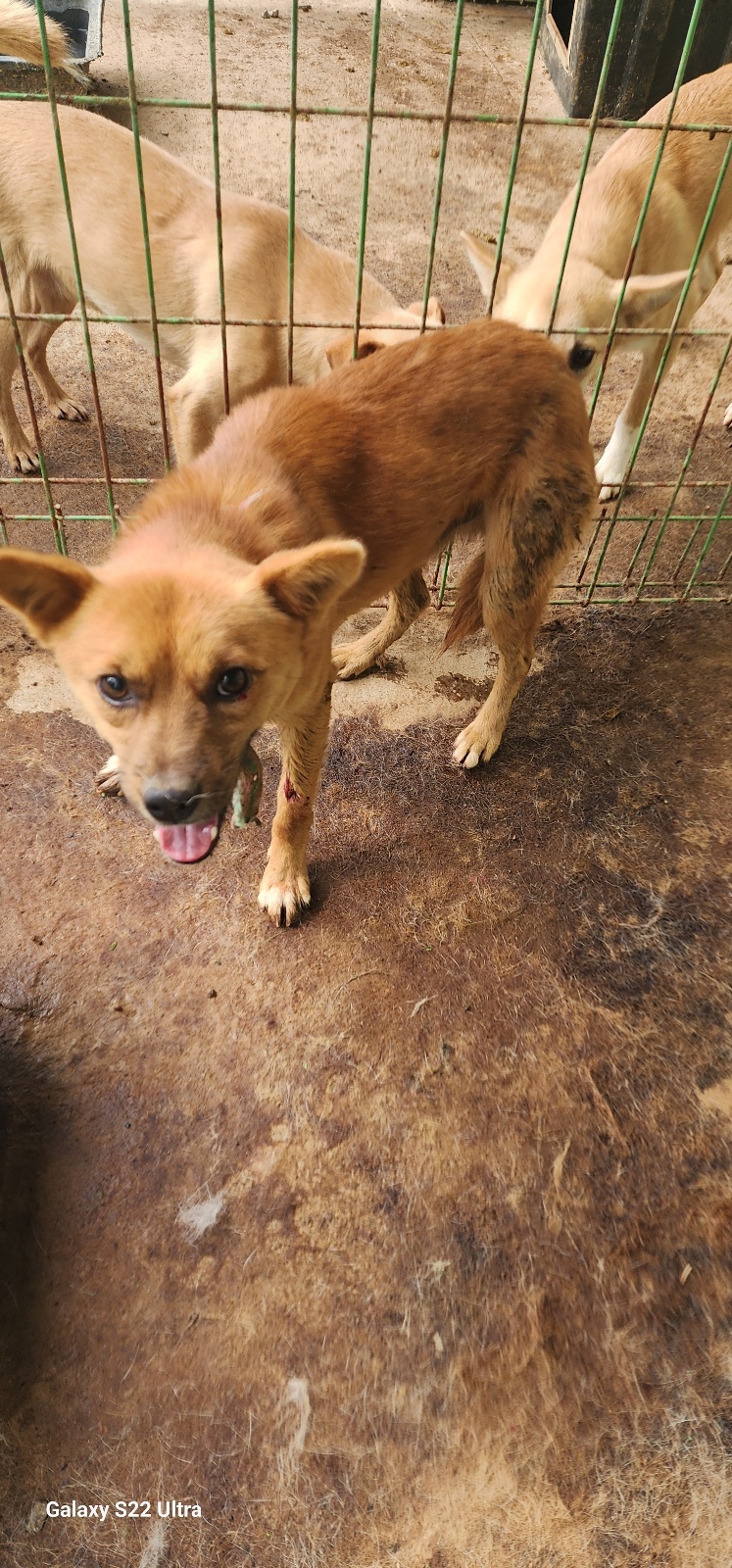 전북말산업복합센터_445471202500464