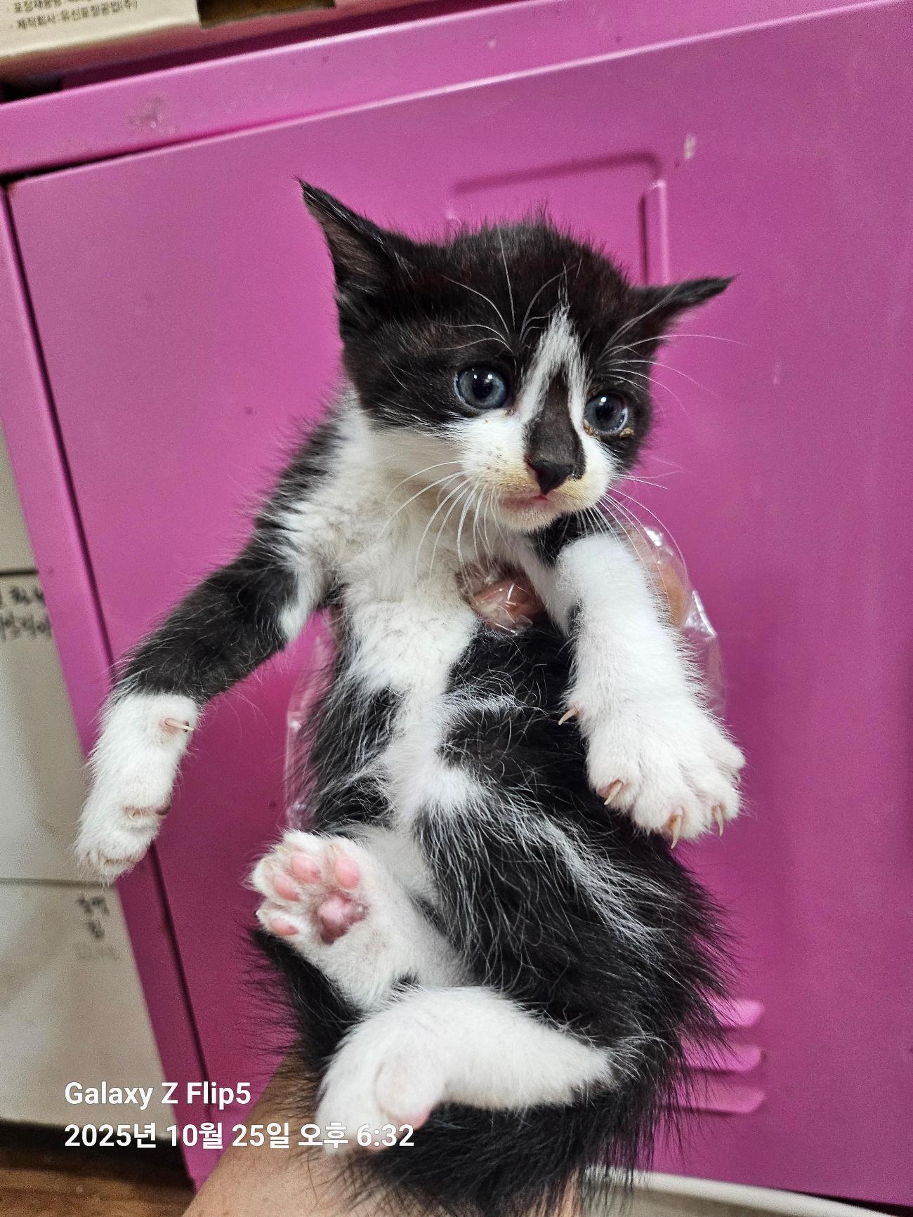 종료(자연사) 한국…