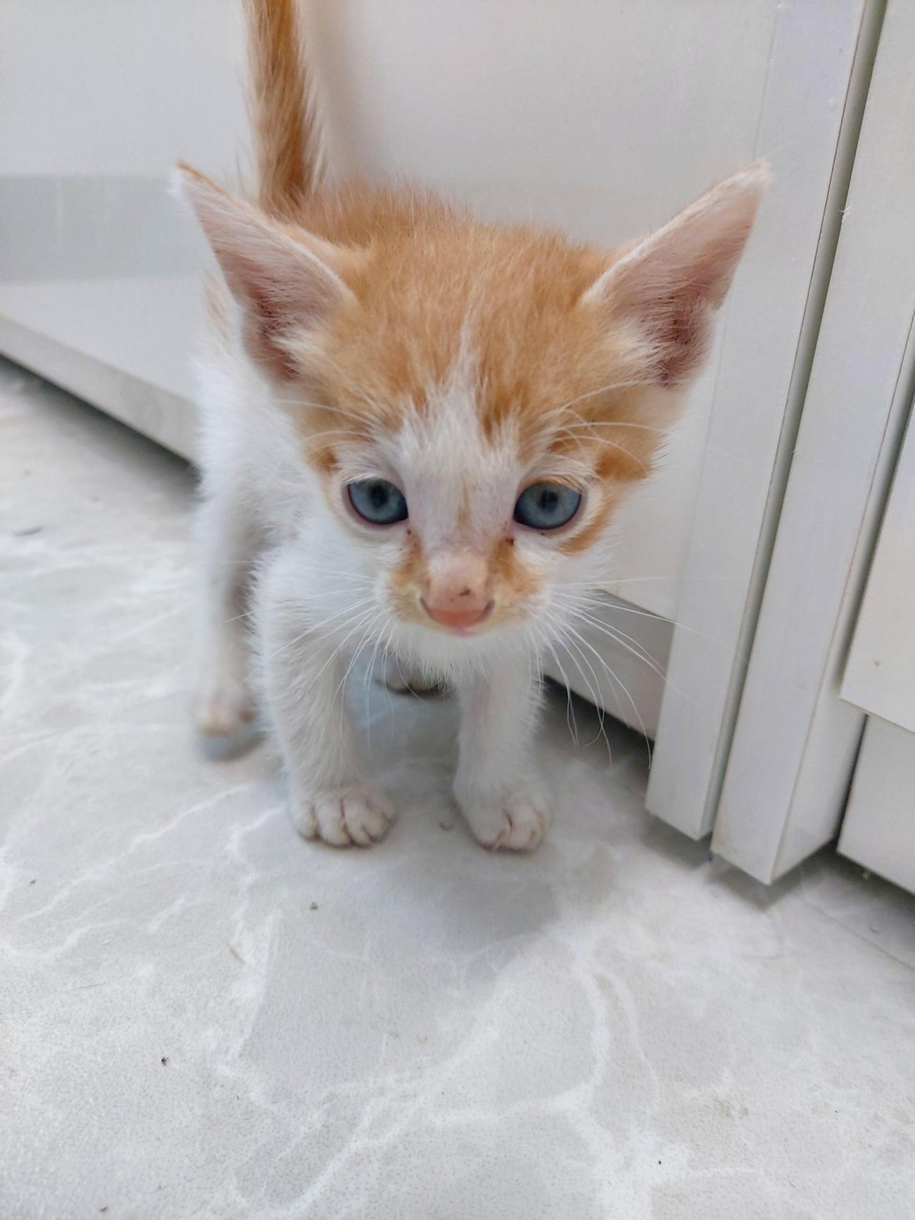 남해군동물보호센터_448543202500182