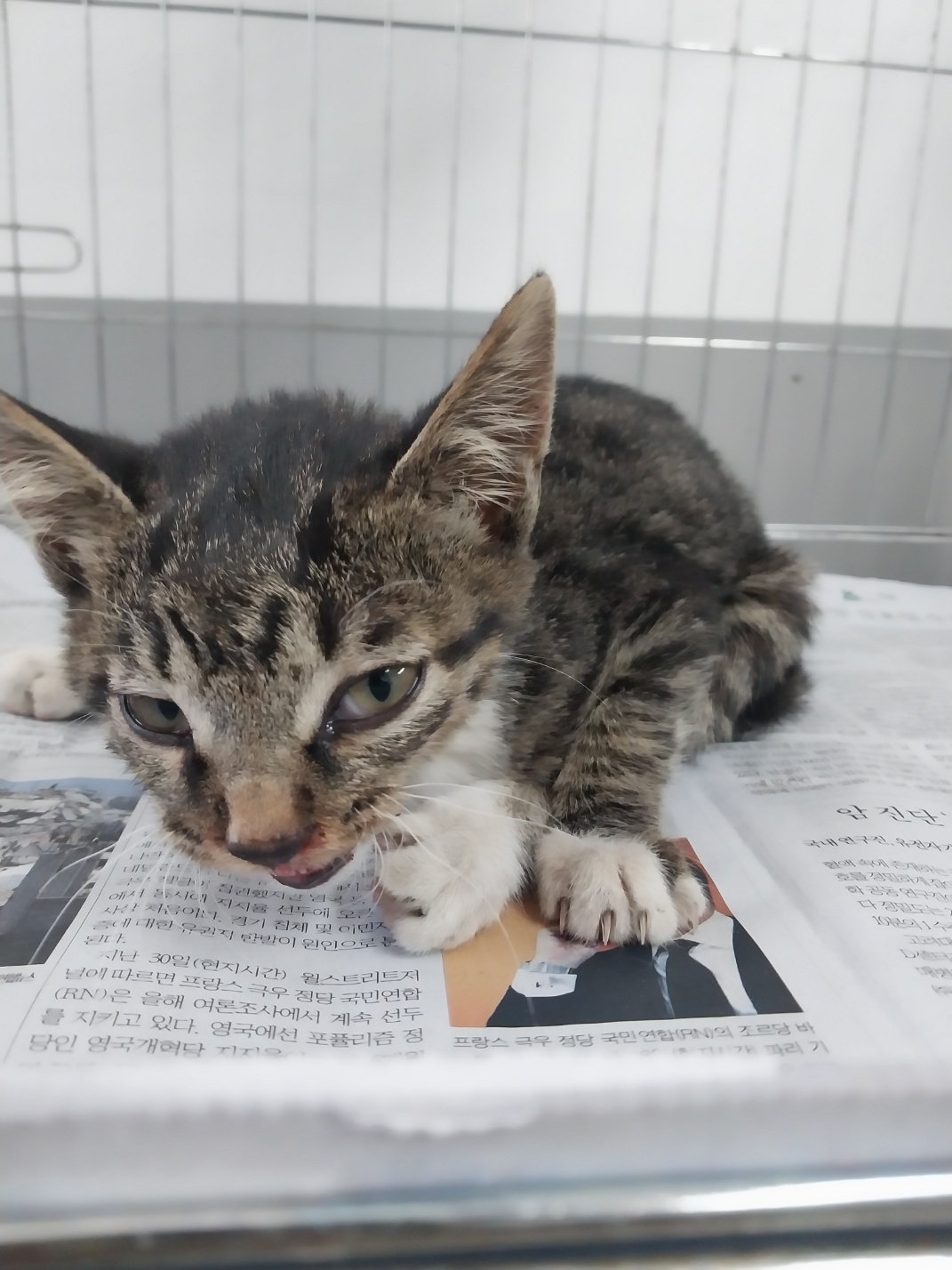 종료(자연사) 한국…