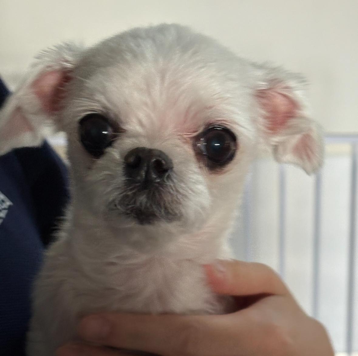 강동리본센터(reborn)_411324202500586