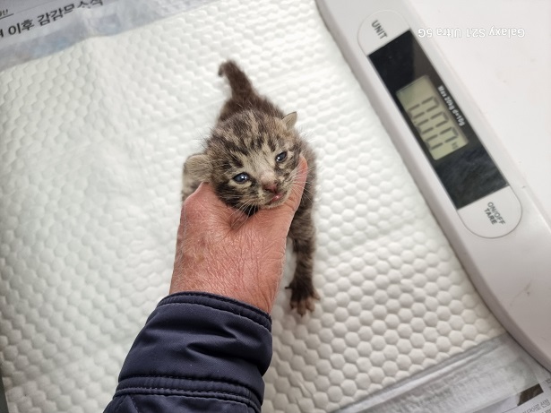 종료(자연사) 한국…