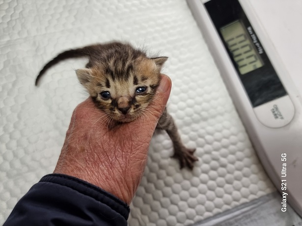 종료(자연사) 한국…
