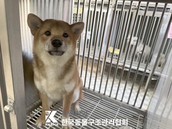 종료(반환) 시바의…