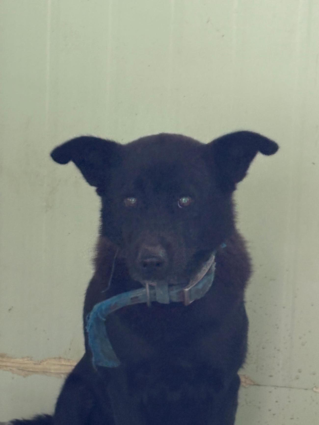 더나은동물병원_445478202500639