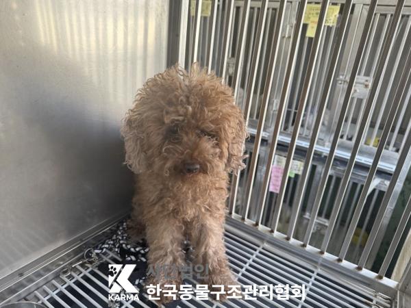 한국동물구조관리협회_411315202500569