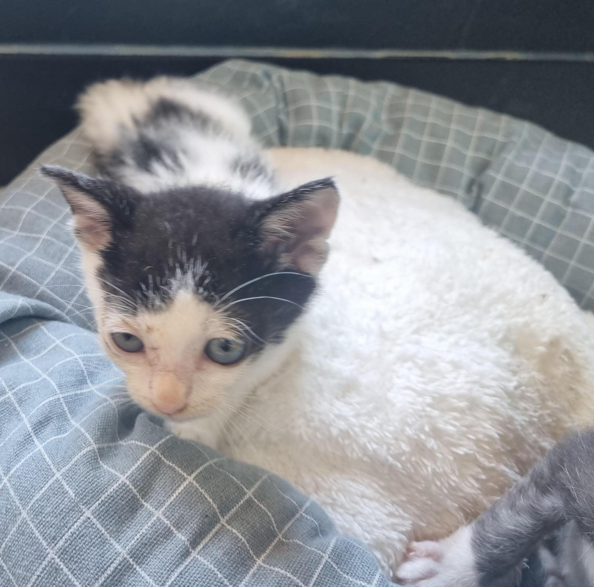 사천시 동물보호센터_448534202501582