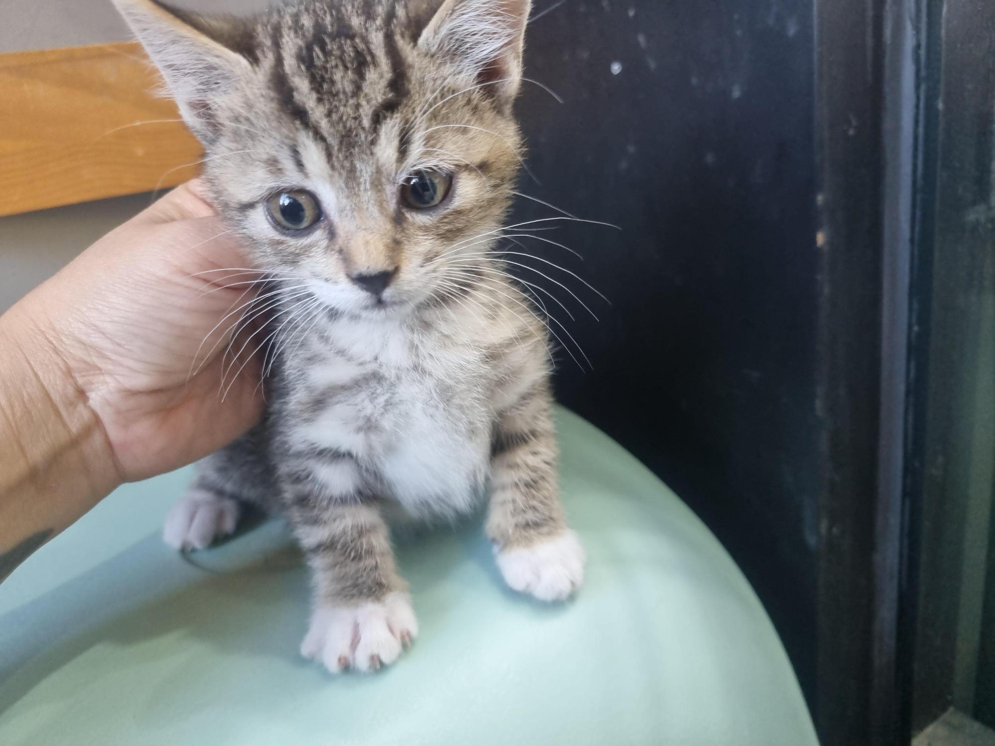 종료(기증) 한국 …