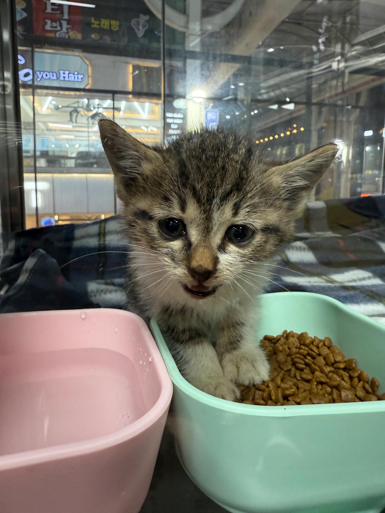 종료(자연사) 한국…