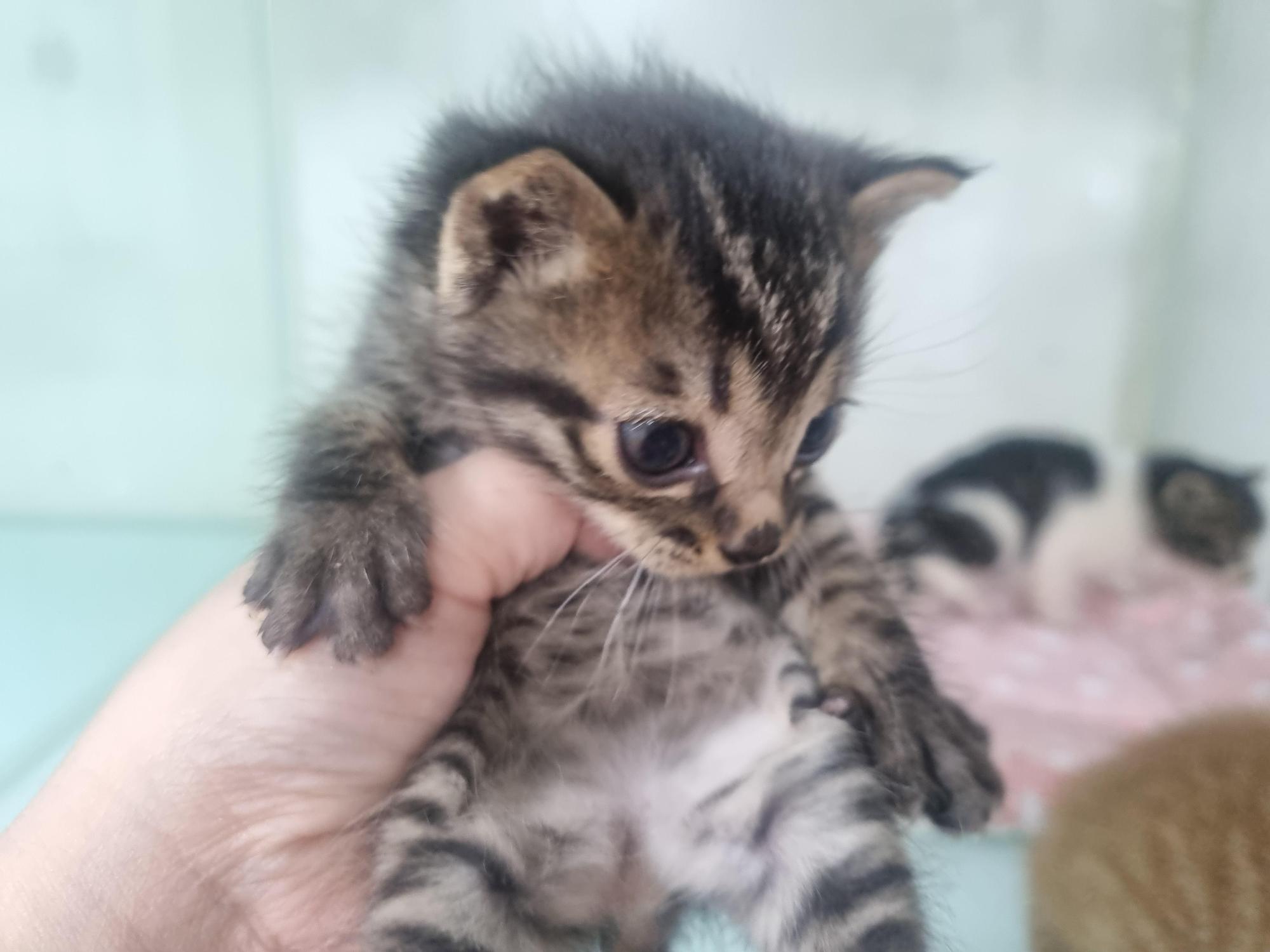 사천시 동물보호센터_448534202501586