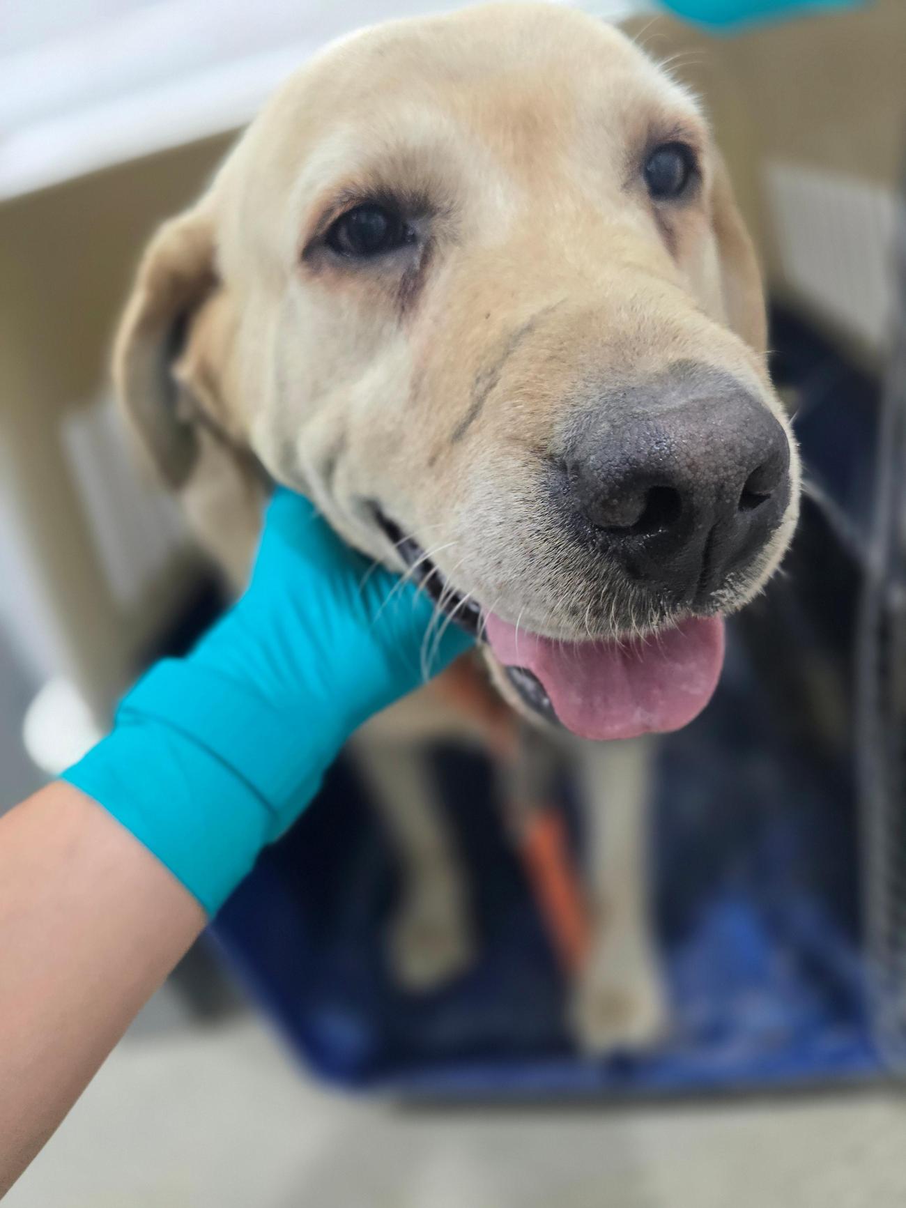 종료(반환) 라브라…