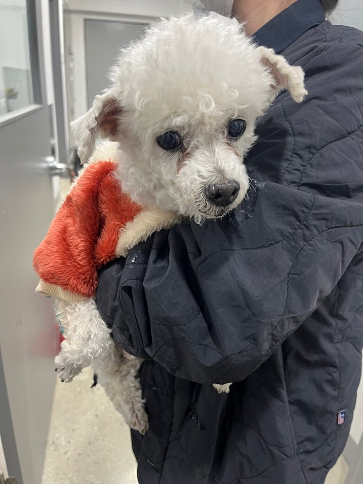 반려동물보호센터_443571202502928