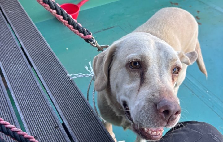 종료(반환) 라브라…