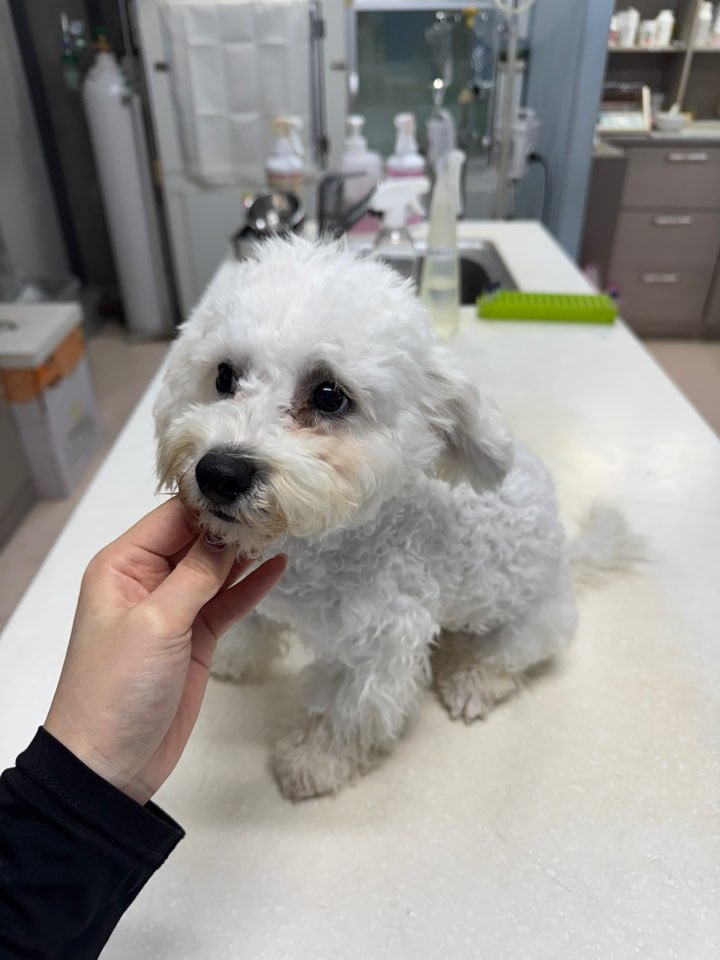 대구시수의사회(동인)_427341202500678