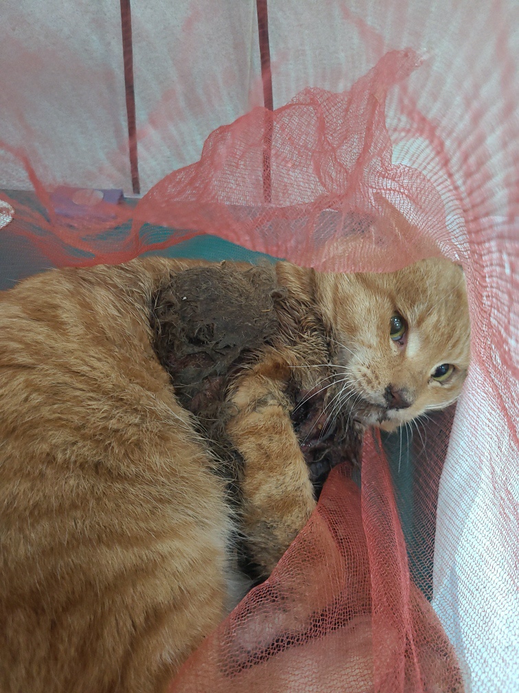 옥천동물병원_443443202500730