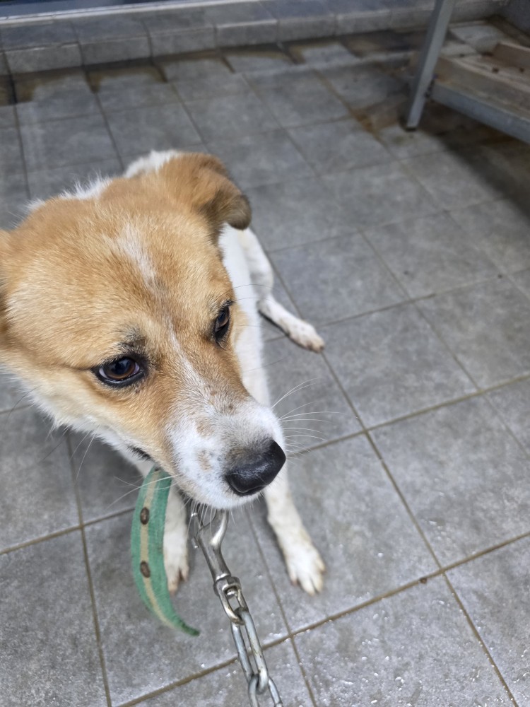 군위종합동물병원_427514202500266