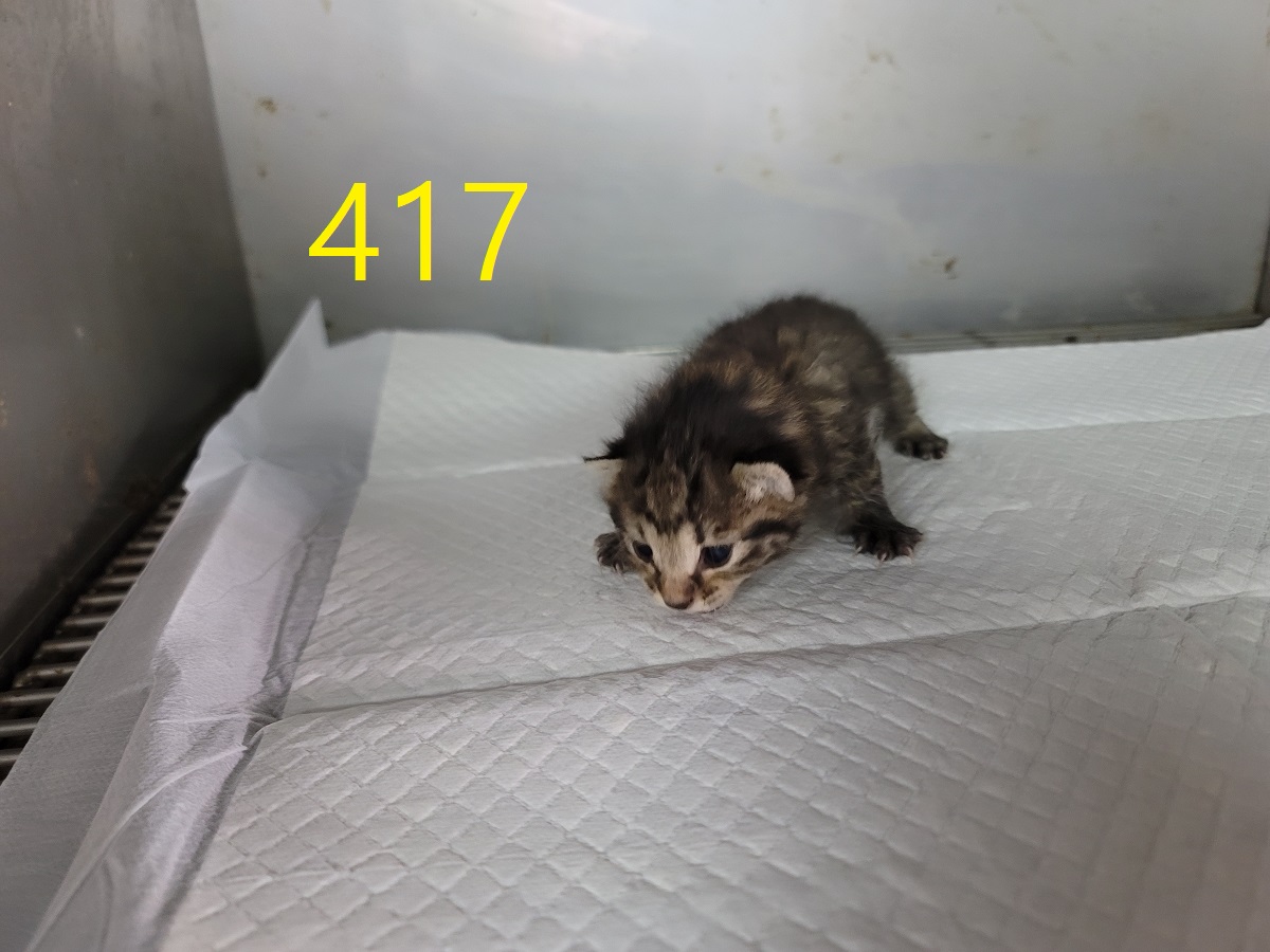 종료(자연사) 한국…