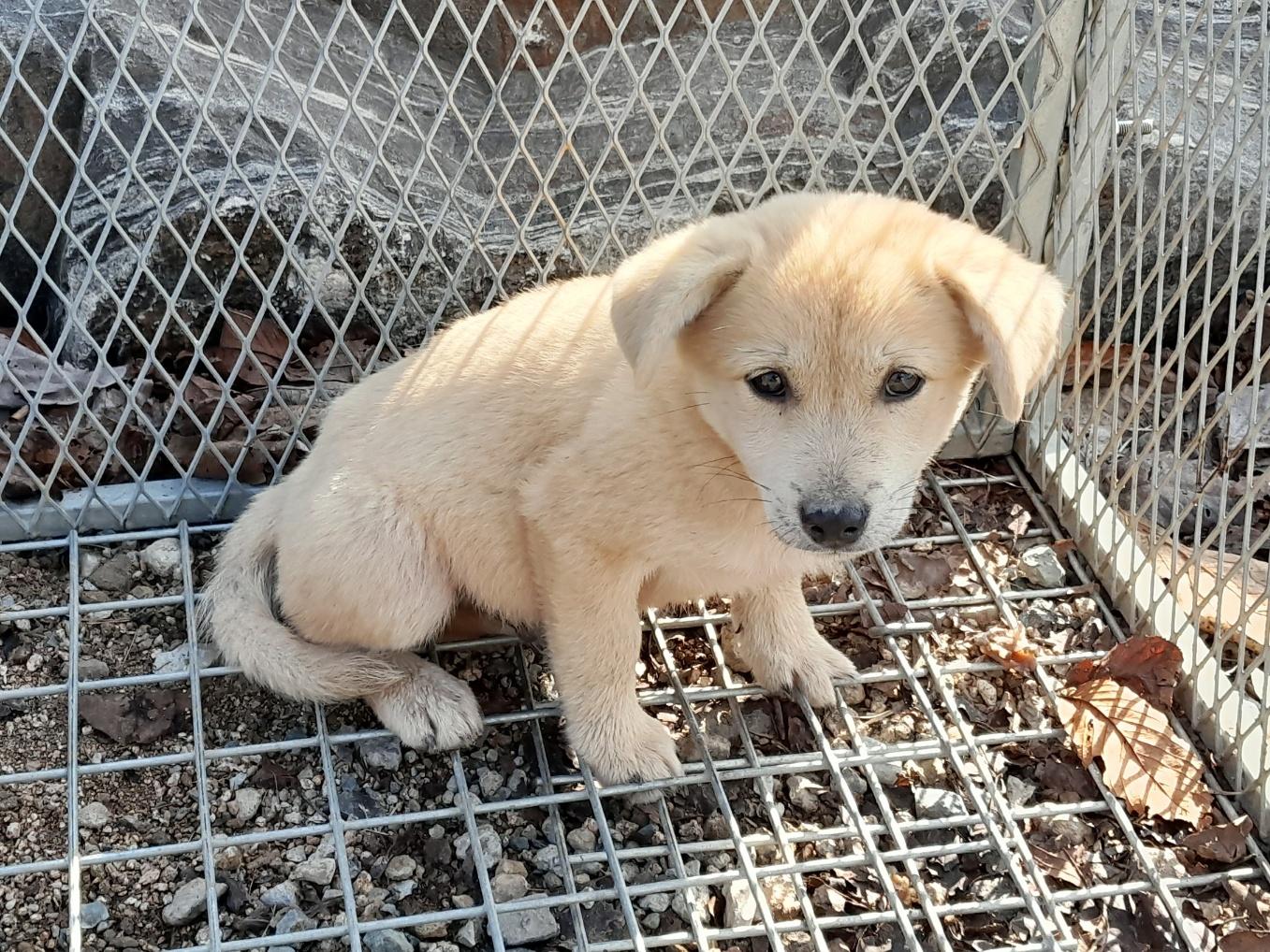 종료(자연사) 믹스…