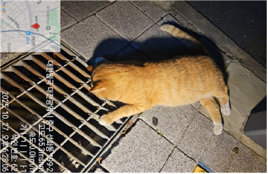 종료(자연사) 한국…