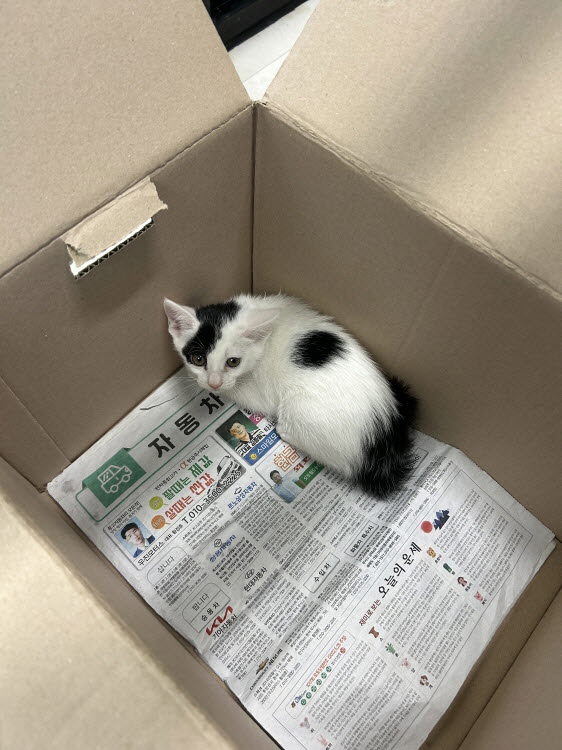 익산유기동물보호소_445468202502958