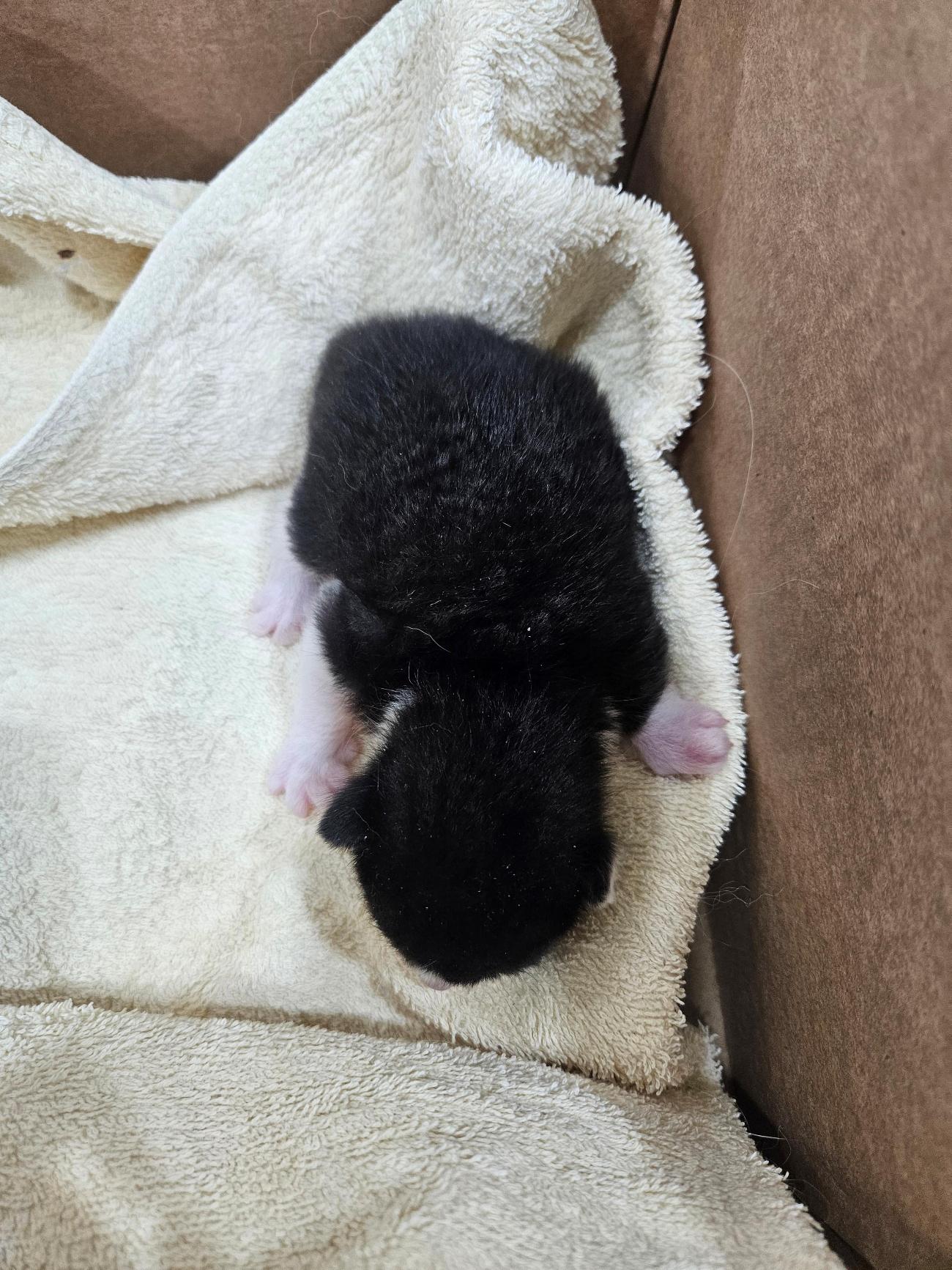 종료(자연사) 한국…