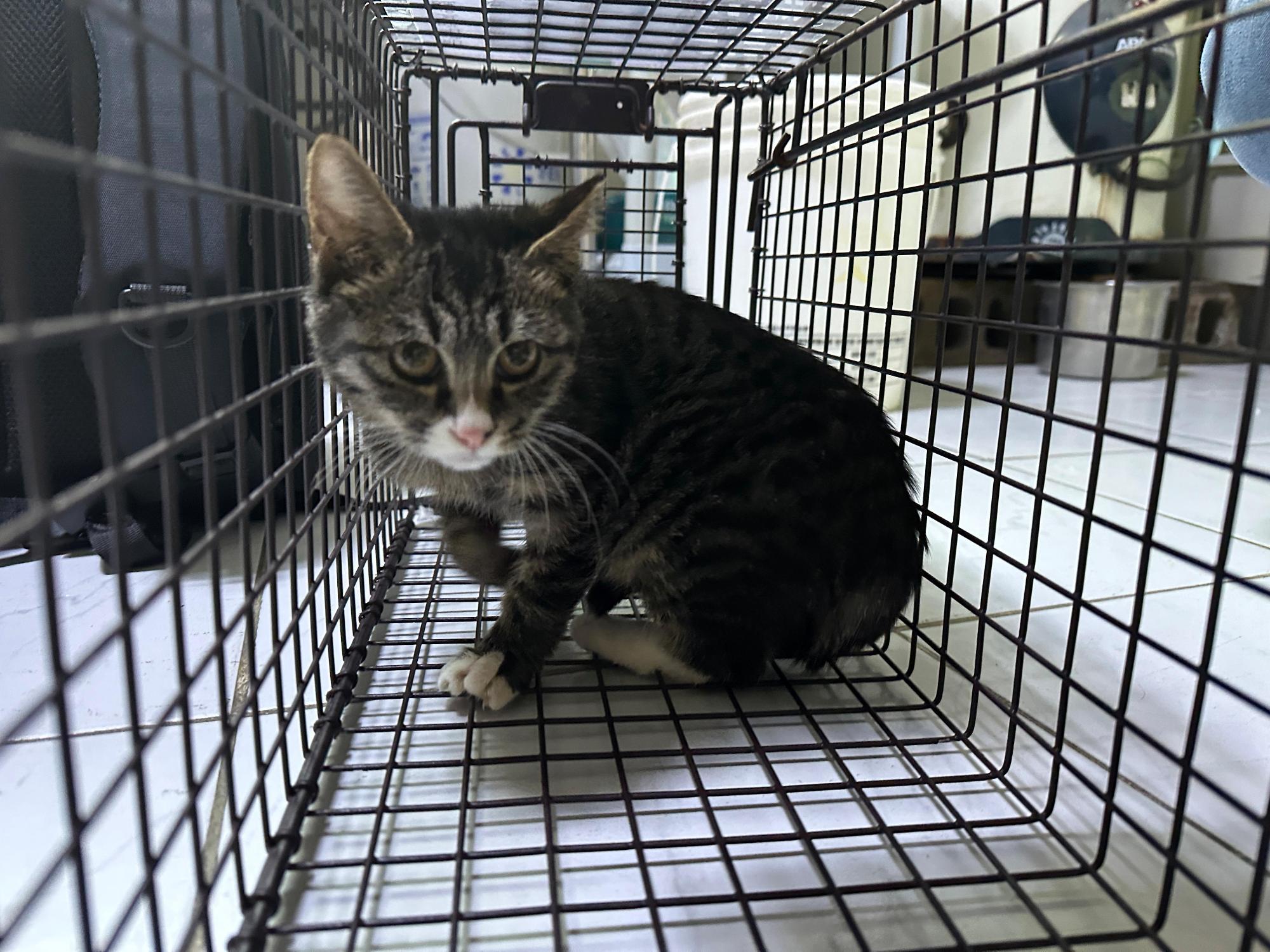 종료(방사) 한국 …