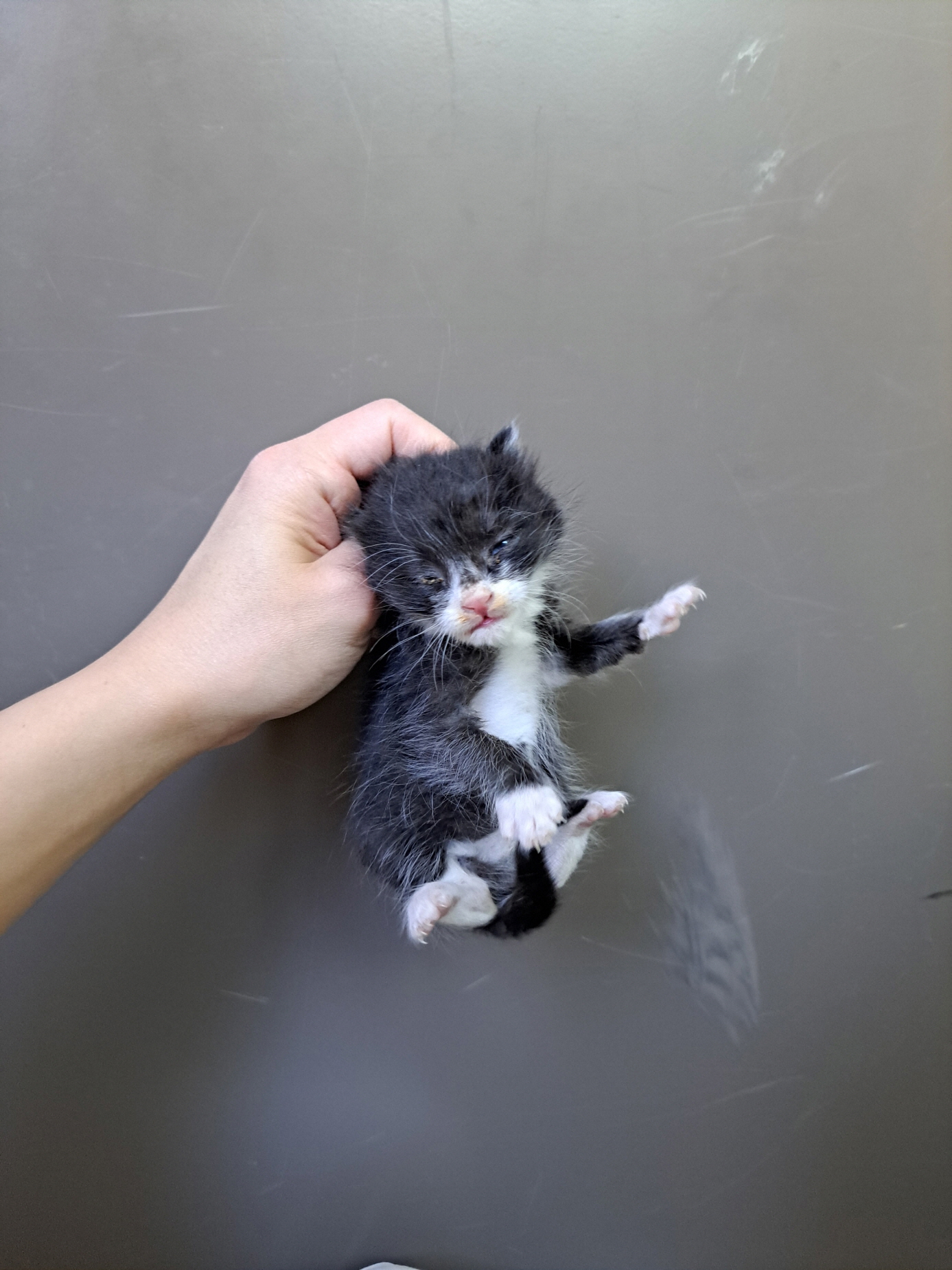 부산동물보호센터_426332202500799