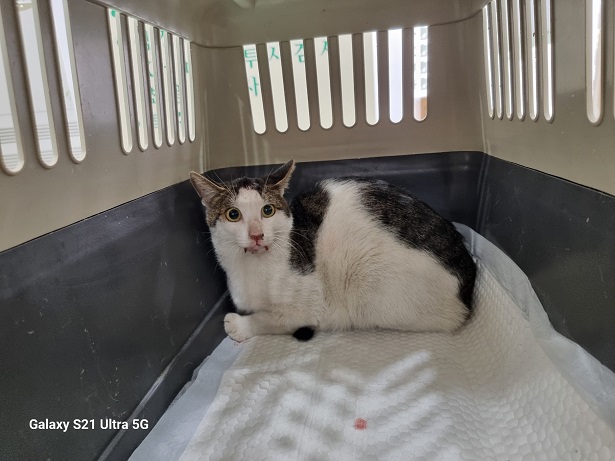 종료(방사) 한국 …