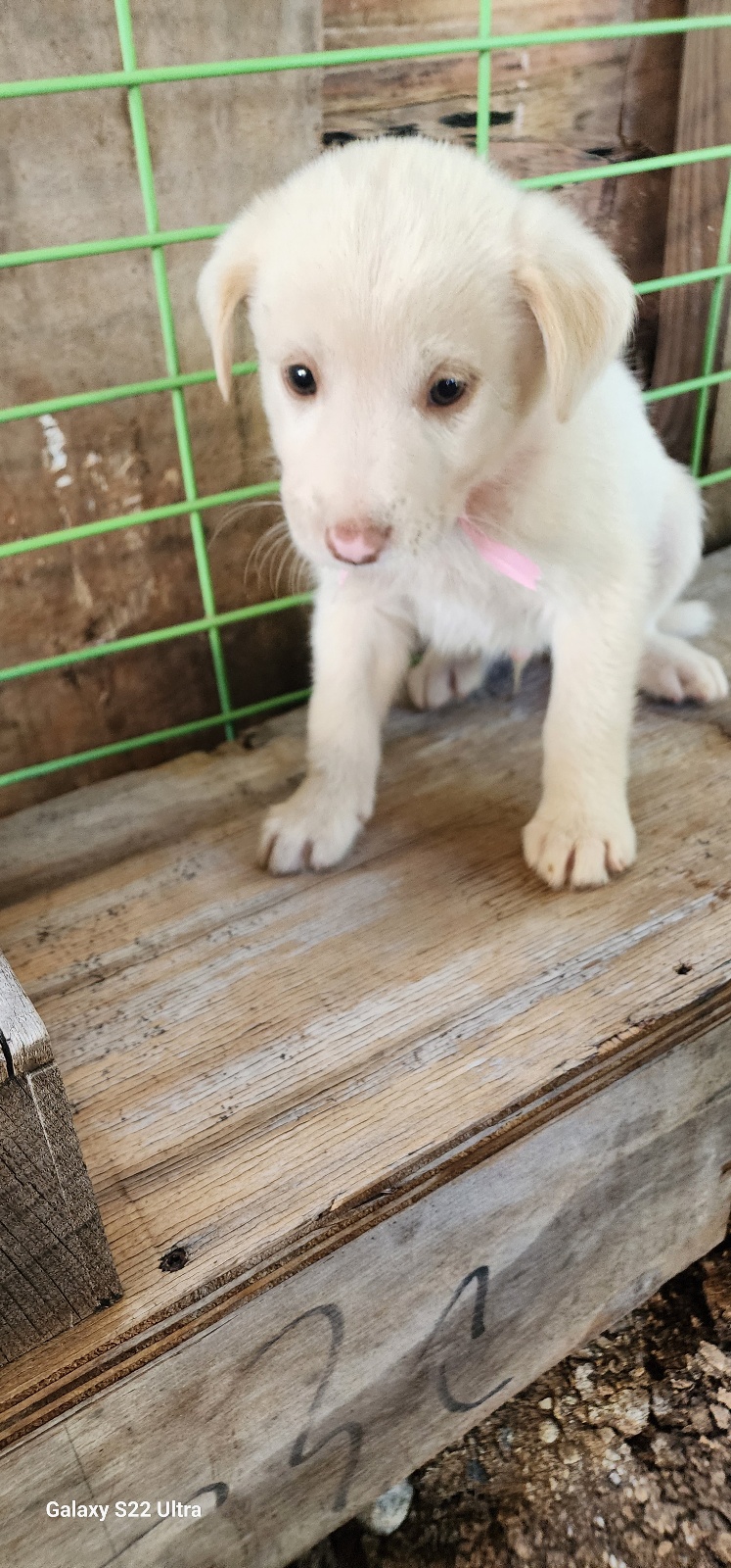 전북말산업복합센터_445471202500468