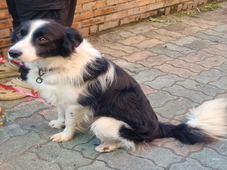 종료(반환) 보더 …