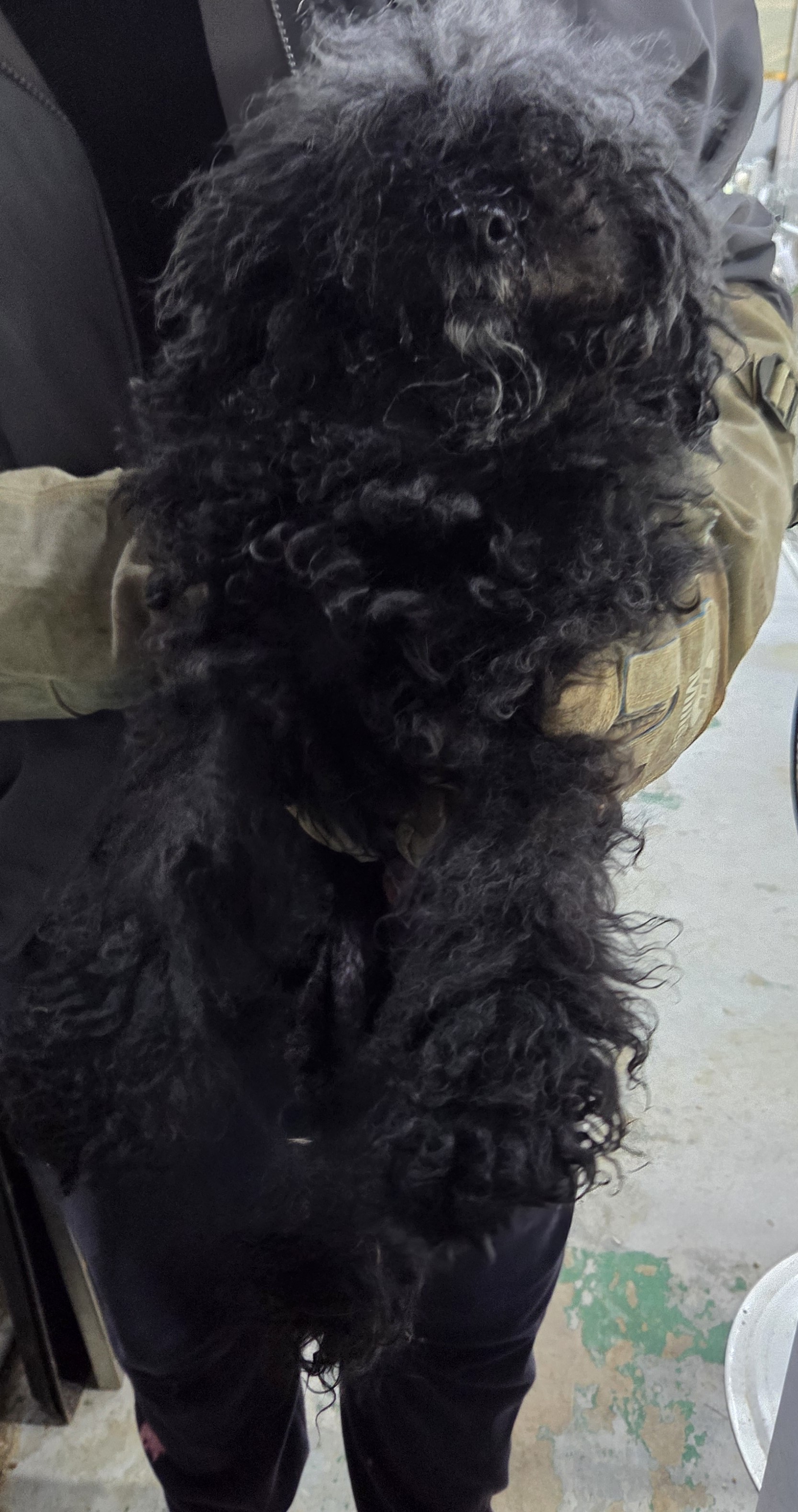 인천광역시수의사회_428353202500995