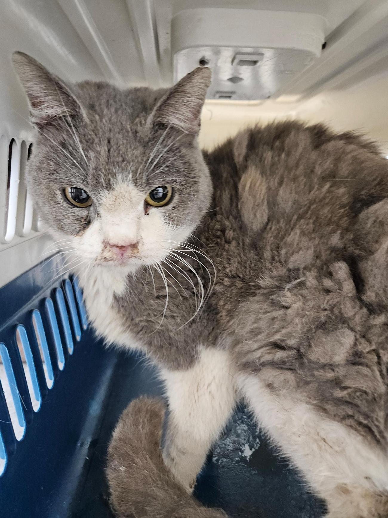 종료(반환) 믹스묘…