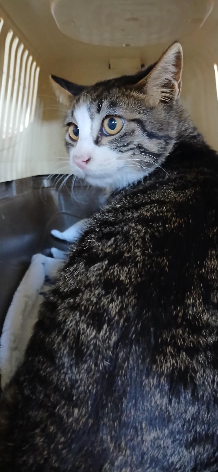 종료(자연사) 한국…