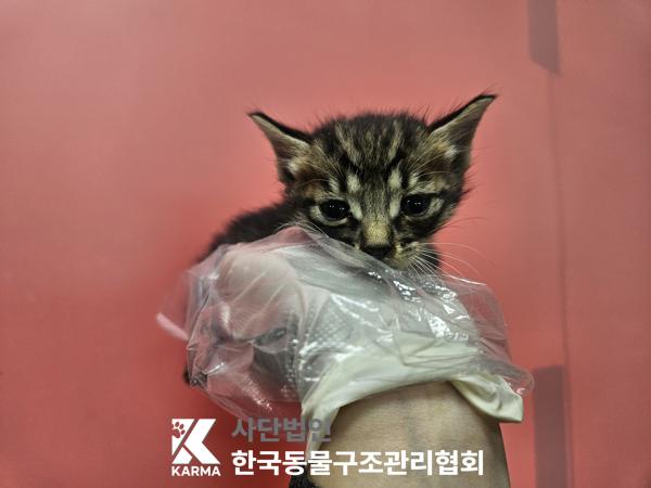 종료(자연사) 한국…