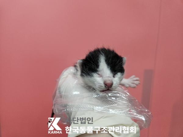 종료(자연사) 한국…