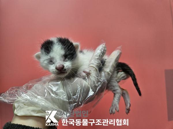 종료(자연사) 한국…