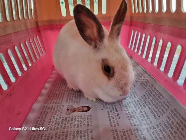 경동동물병원_428352202500497