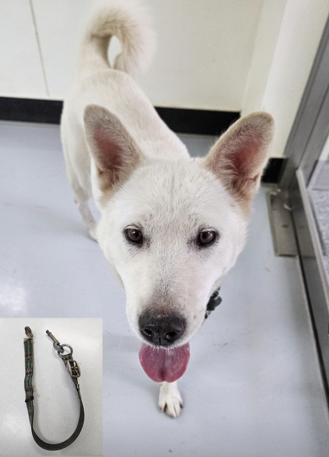 아산동물복지지원센터_444452202502114