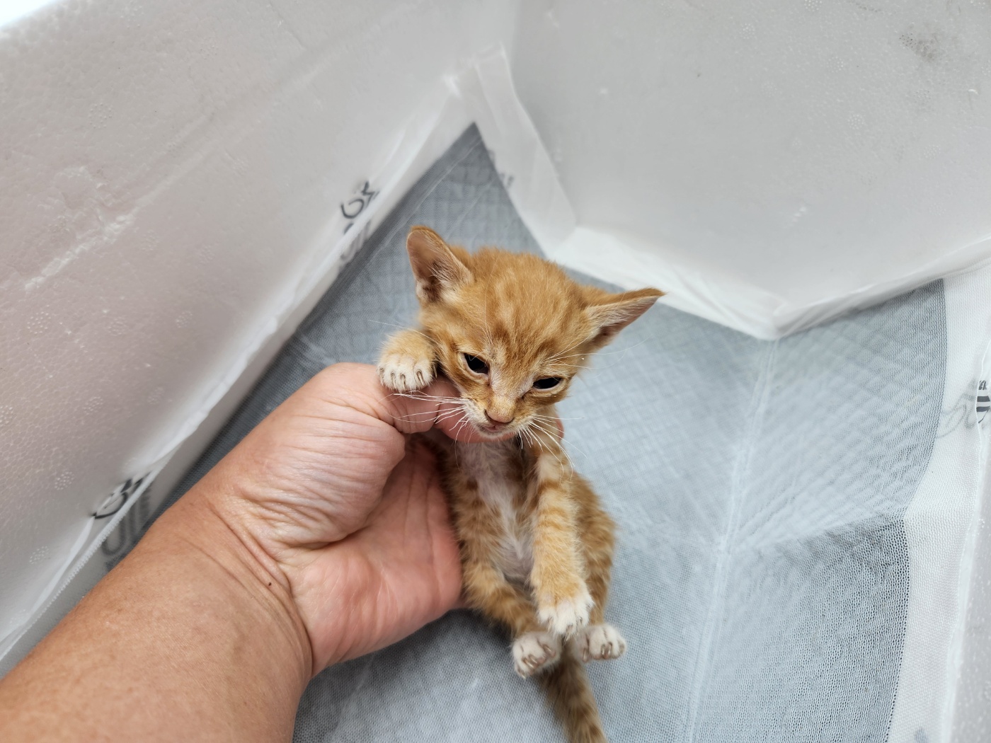 종료(기증) 한국 …