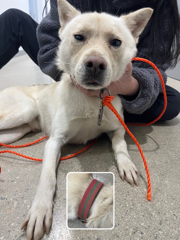 반려동물보호센터_443571202502937