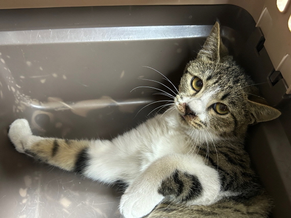 종료(자연사) 한국…