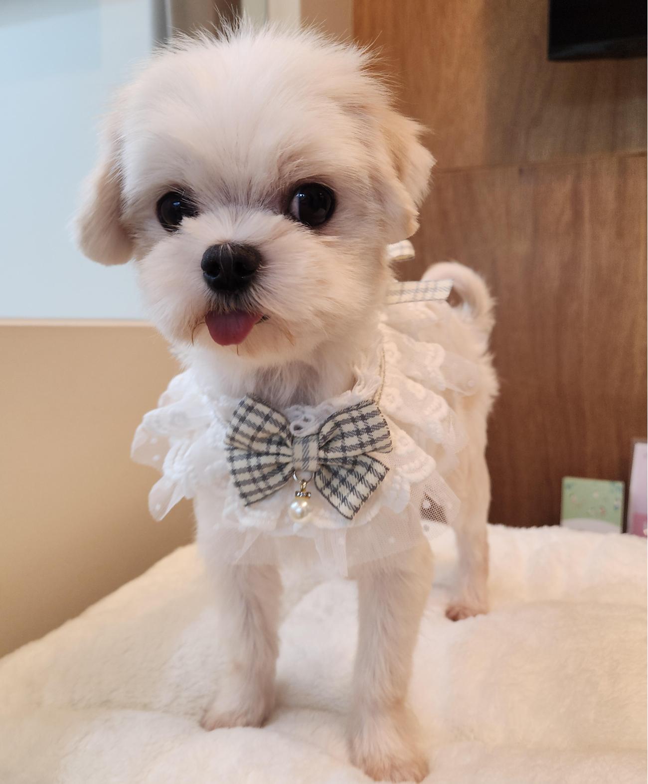 광명반함센터_441390202500603