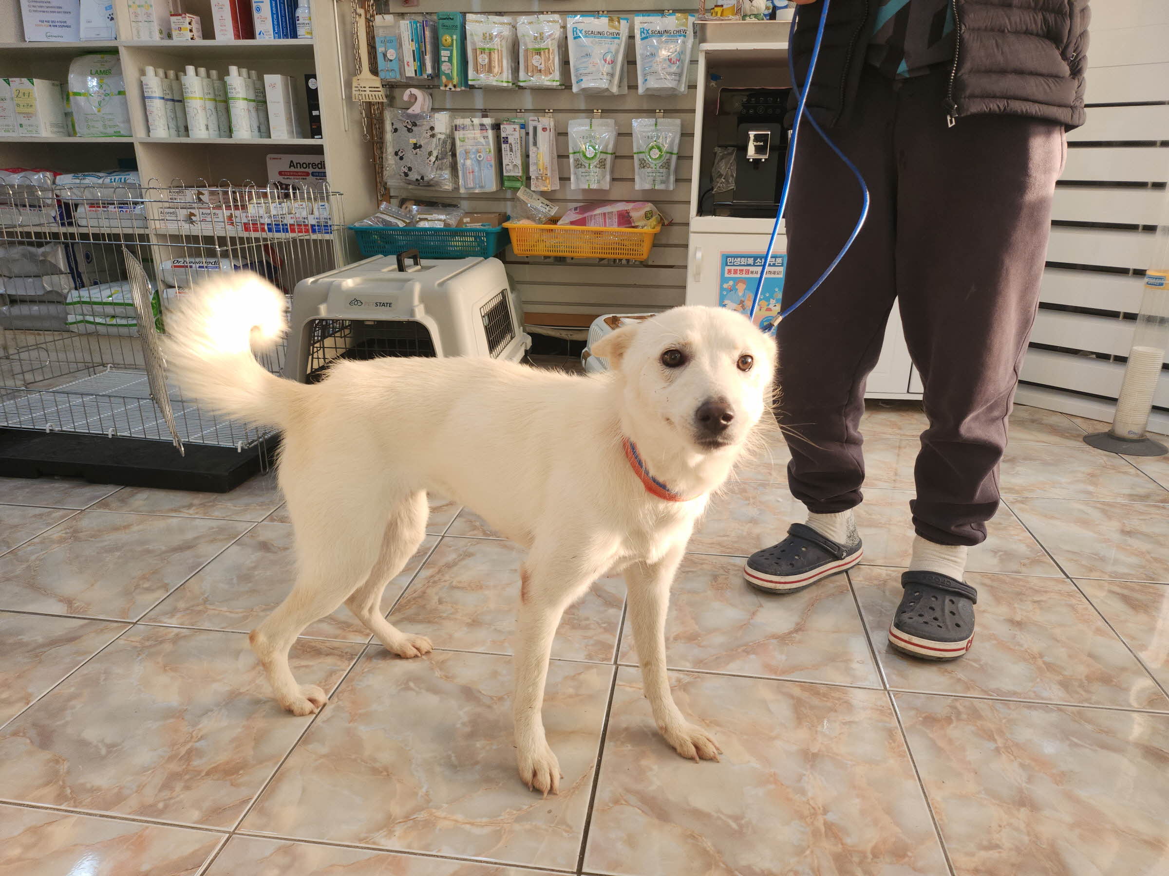 대구수의사회(아이펫)_427343202501004