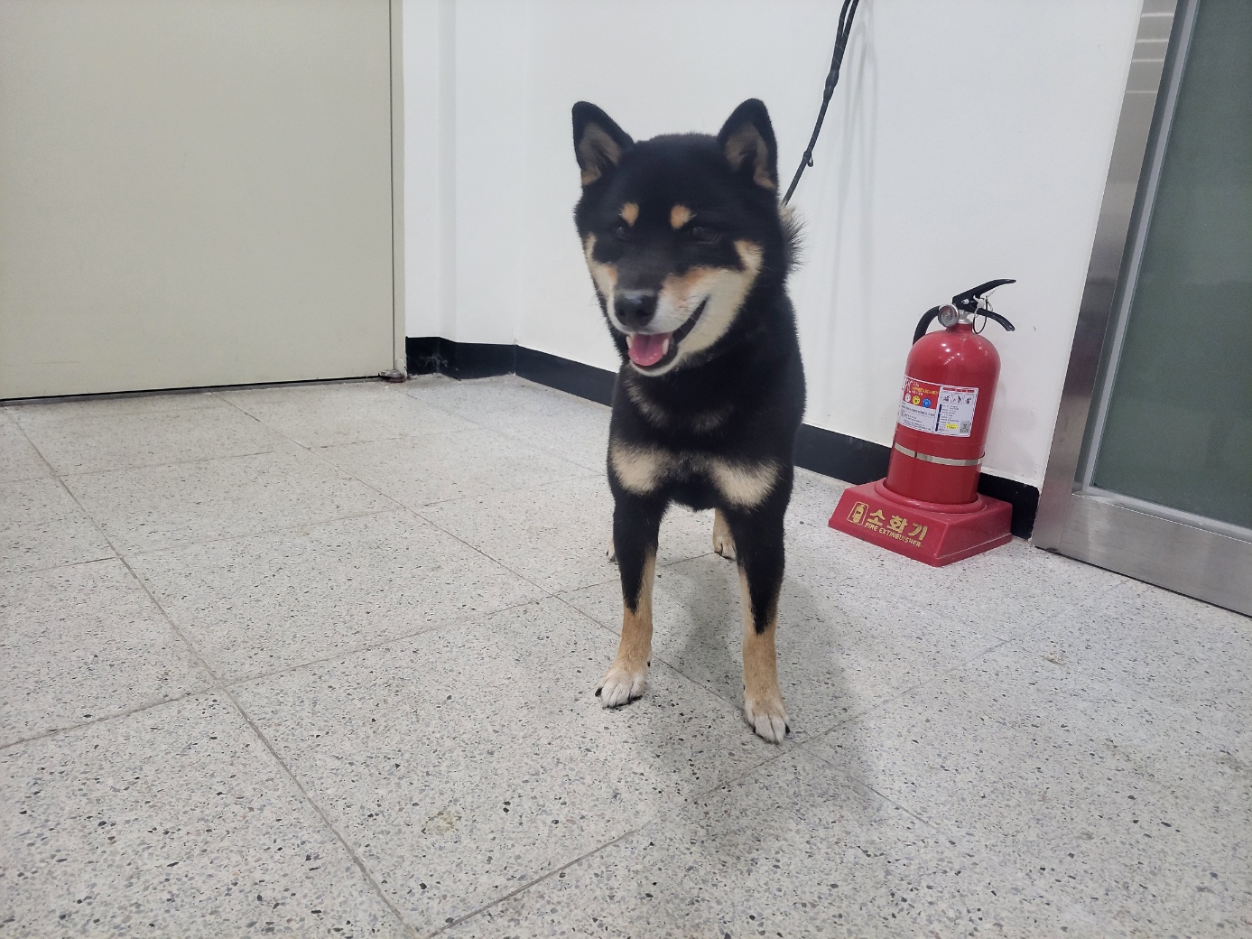 종료(반환) 시바의…